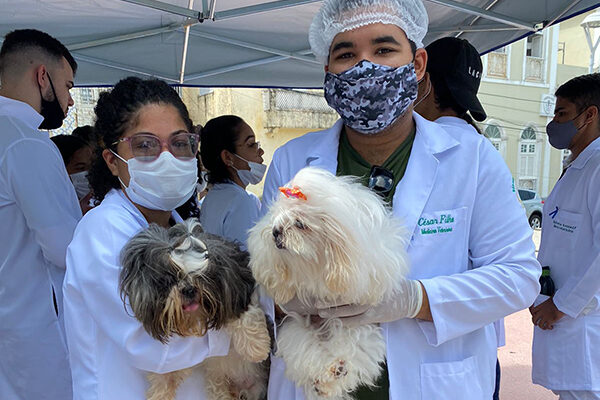 Met Vet da Florence atende cães e gatos com vacinação e instrui tutores sobre o câncer de próstata em animais