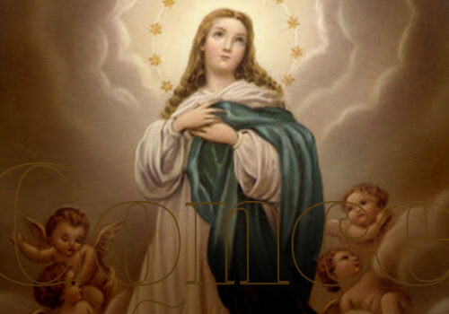 Nossa Senhora da Conceição é celebrada neste 8 de dezembro
