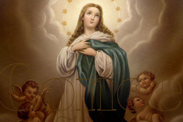 Nossa Senhora da Conceição é celebrada neste 8 de dezembro