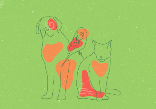 Florence promove evento on-line para discutir teoria e prática da Medicina Veterinária