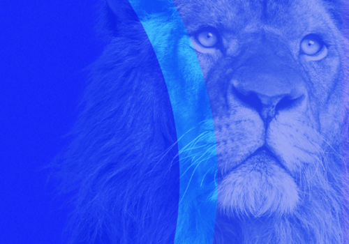 De Olho no Leão: Florence promove atendimentos gratuitos para Declaração do IR 2022