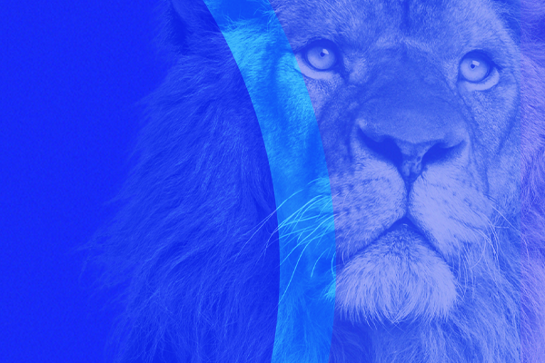 De Olho no Leão: Florence promove atendimentos gratuitos para Declaração do IR 2022