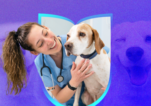 Dia Nacional dos Animais é celebrado nesta segunda-feira