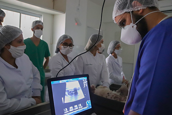 Alunos do curso de Medicina Veterinária da Florence participam de prática de ultrassonografia gestacional