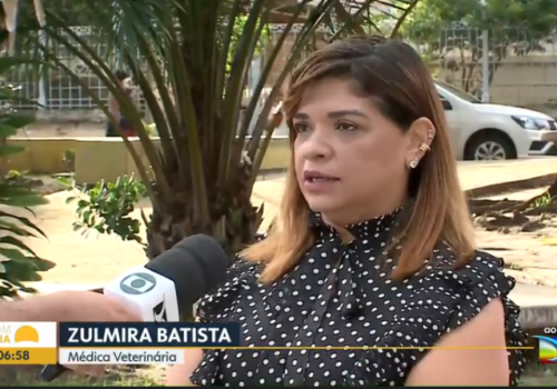 Professora do curso de Medicina Veterinária participa de programa na TV Mirante