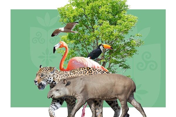 Florence destaca dia Mundial dos Animais