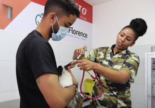 VetFlorence oferece atendimentos à comunidade. Veja como agendar!