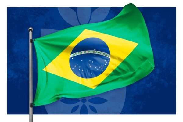 Você conhece a bandeira do Brasil?