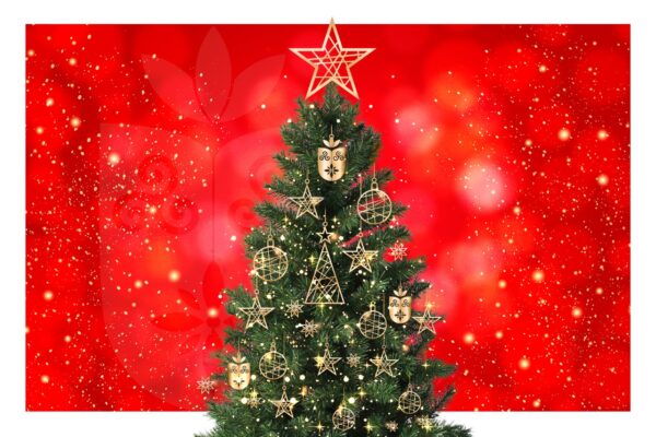 Florence deseja a todos um Feliz Natal!