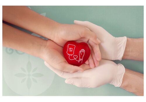 Florence destaca o Dia Nacional do Doador de Sangue: Um gesto de solidariedade que salva vidas