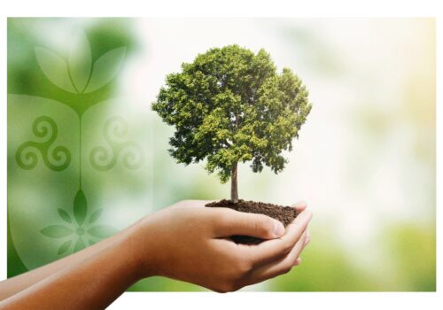 O Dia da Árvore: Celebrando a Importância da Natureza e da Sustentabilidade