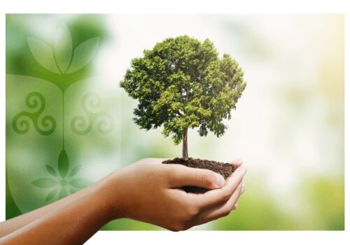O Dia da Árvore: Celebrando a Importância da Natureza e da Sustentabilidade
