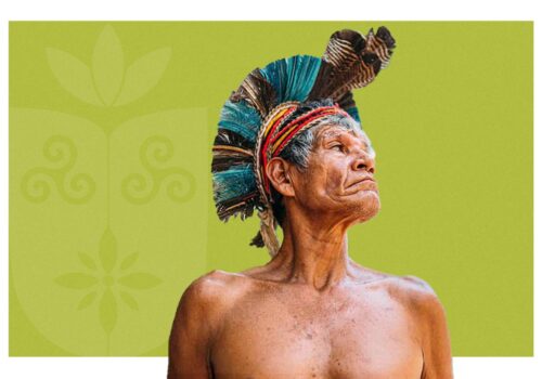 Celebrando a diversidade e resistência: 19 de Abril – Dia dos Povos Indígenas