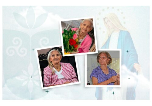 Dona Teresinha de Jesus Barbosa: Um Farol de Fé e Amor que Brilhará Eternamente