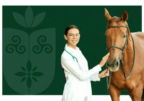 Faculdade Florence Divulga Resultado Seletivo dos Monitores para a Expoema 2024