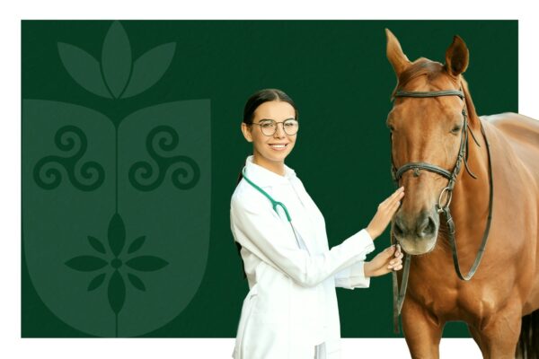 Faculdade Florence Divulga Resultado Seletivo dos Monitores para a Expoema 2024