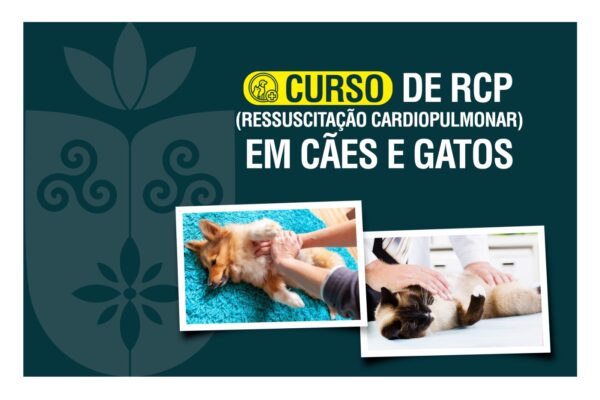 Faculdade Florence promove curso de RCP em cães e gatos
