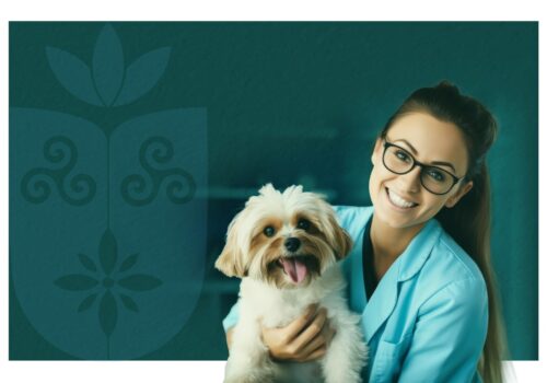 Faculdade Florence abre Processo Seletivo Simplificado para Docentes do Curso de Medicina Veterinária