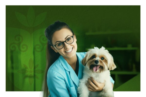 Divulgada a lista de inscrições homologadas e detalhes da avaliação didática na Faculdade Florence