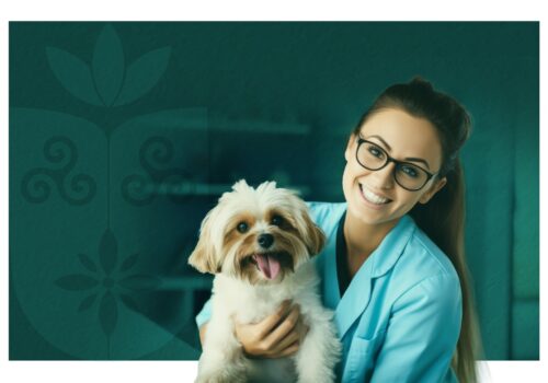 Resultado final do Processo Seletivo de Docentes para Medicina Veterinária é divulgado