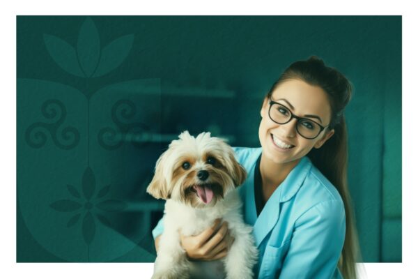 Resultado final do Processo Seletivo de Docentes para Medicina Veterinária é divulgado