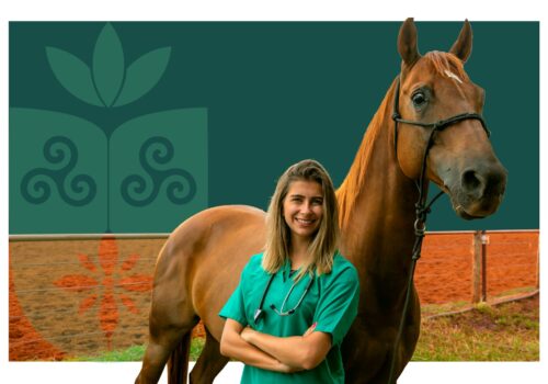 Faculdade Florence promove roda de conversa sobre a atuação feminina na veterinária de grandes animais