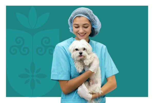 Faculdade Florence abre seleção para novos membros da Liga de Anestesia e Analgesia Veterinária (LAAV)