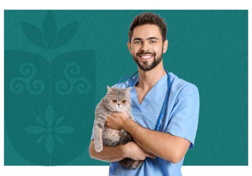 Aberta chamada para publicação de artigos científicos na área de Medicina Veterinária pela Florence em Revista