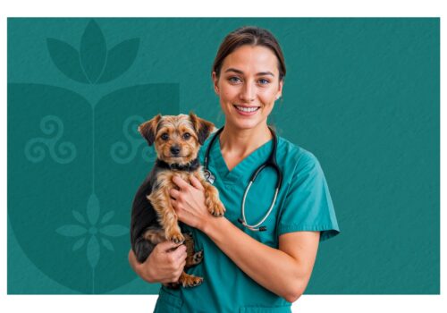 Centro Universitário Florence abre Processo Seletivo Simplificado para docentes do curso de Medicina Veterinária