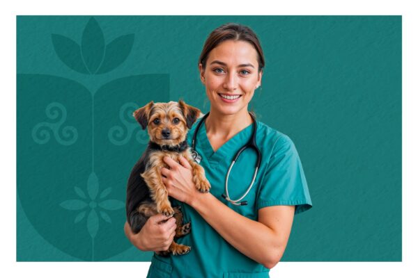 Centro Universitário Florence abre Processo Seletivo Simplificado para docentes do curso de Medicina Veterinária