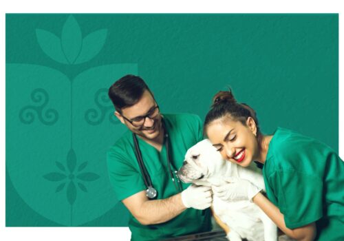 Centro Universitário Florence divulga inscrições homologadas e detalhes da avaliação prática – Edital nº 02/2025–DA/IFES