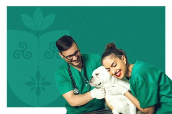 Centro Universitário Florence divulga inscrições homologadas e detalhes da avaliação prática – Edital nº 02/2025–DA/IFES