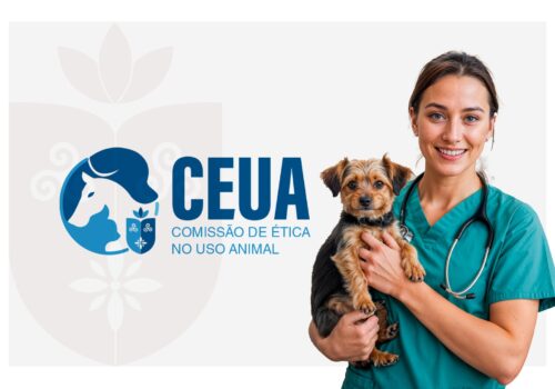 Centro Universitário Florence conquista credenciamento da CEUA e fortalece a pesquisa científica com responsabilidade ética