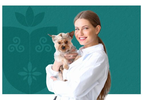 Centro Universitário Florence divulga resultado do seletivo docente para Medicina Veterinária