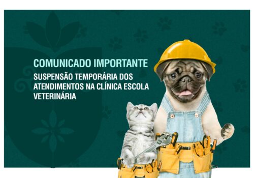 Centro Universitário Florence informa suspensão temporária dos atendimentos na Clínica Escola Veterinária