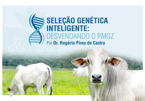 Florence realiza minicurso sobre Seleção Genética Inteligente com visita técnica à Fazenda São Benedito, em Bacabal