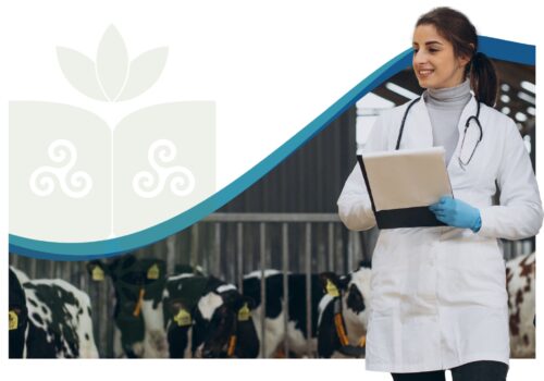 LARMEB abre inscrições para novos membros no Centro Universitário Florence