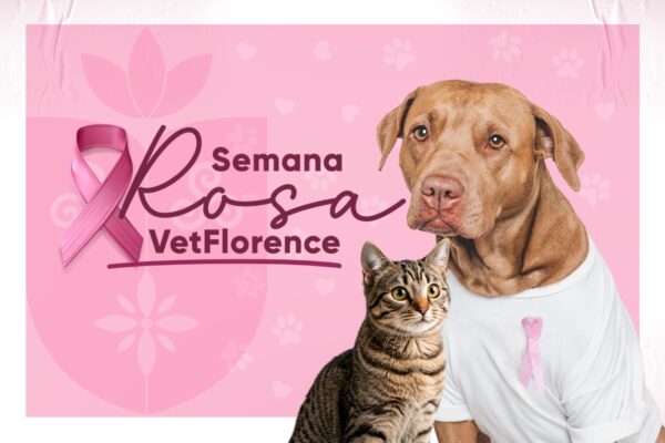 Semana Rosa VetFlorence promove prevenção e cuidados com a saúde de cadelas e gatas