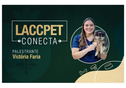 Florence promove palestra sobre afecções gastrointestinais em cães